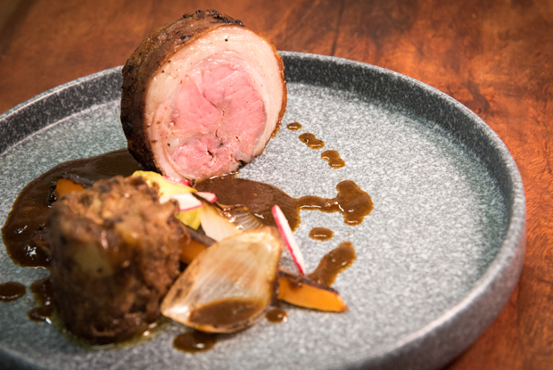 Nicos-LATAM-2018-DISH2